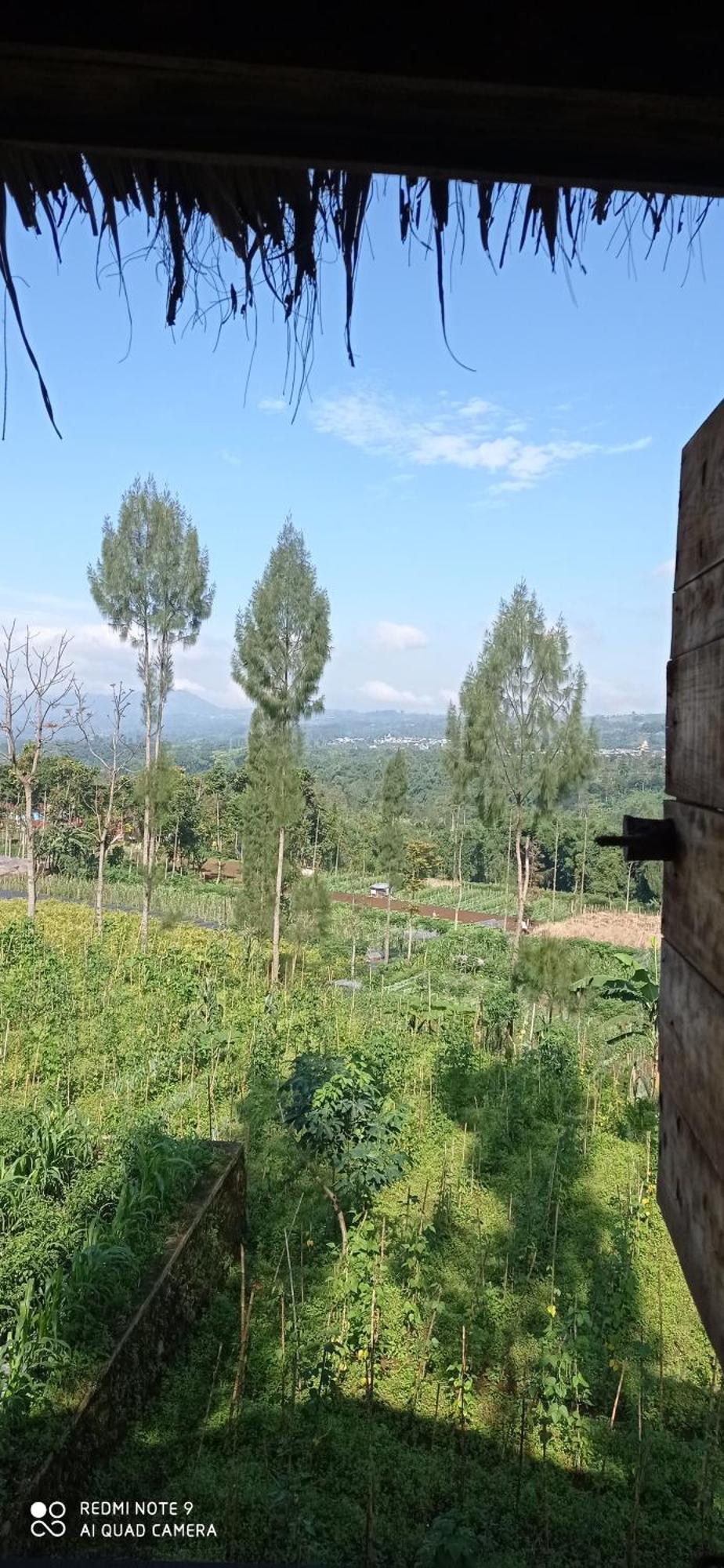 Harumi Dieng Wonosobo Chambre photo