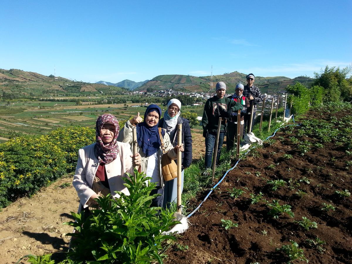 Harumi Dieng Wonosobo Extérieur photo
