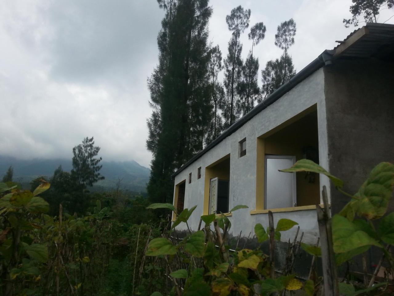 Harumi Dieng Wonosobo Extérieur photo